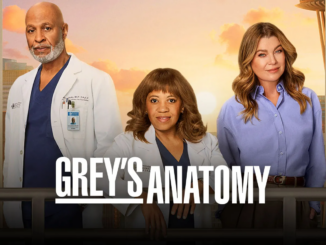 Greys anatomy season 22 abc