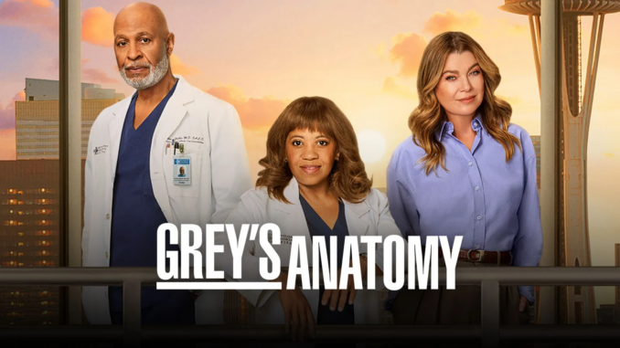 Greys anatomy season 22 abc